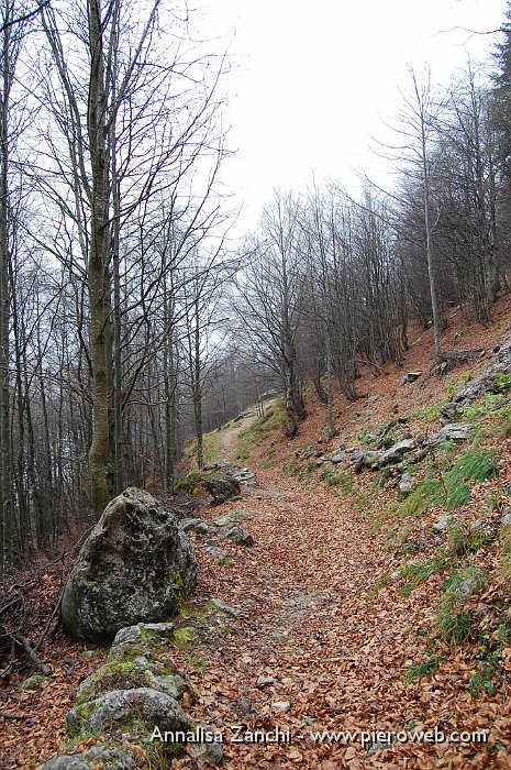 31 Il sentiero si addentra nel bosco.JPG